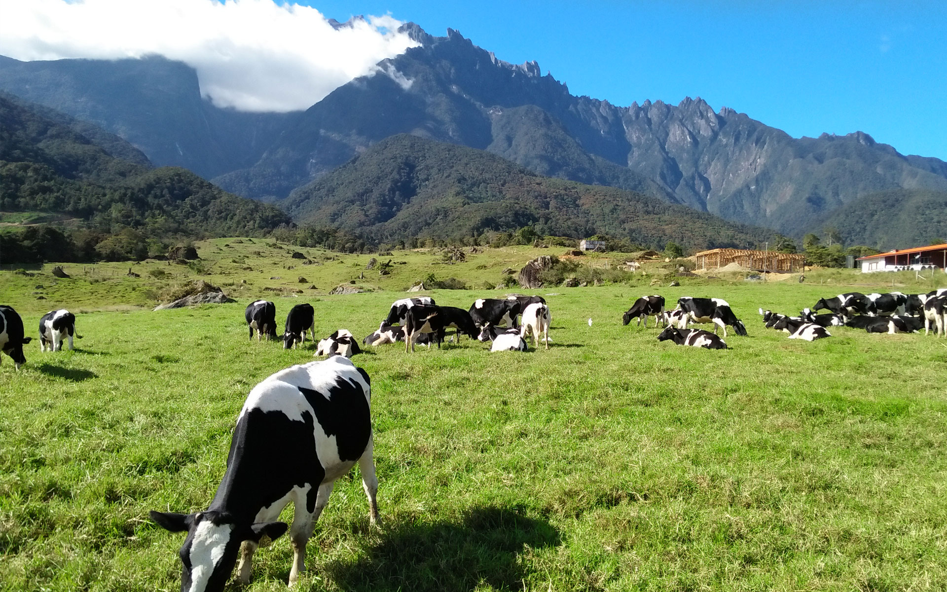 3D2N Mount Kinabalu Climb – Kundasang Highland Resort & Panalaban Hostel (Dorm)